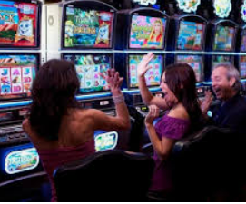 摇钱树捕鱼下载电脑免费版