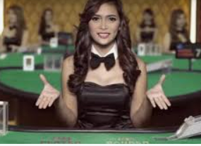 摇钱树捕鱼下载2024最新版